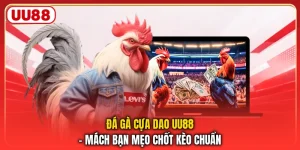 Đá Gà Cựa Dao UU88 – Mách Bạn Mẹo Chốt Kèo Chuẩn